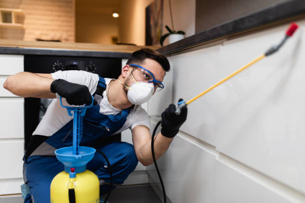 Best Bed Bug Extermination  in Milton, FL