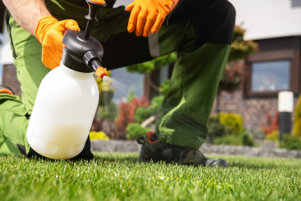Best Pest Control Near Me  in Milton, FL
