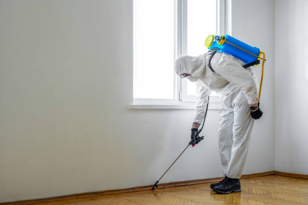 Best Mosquito Control Services  in Milton, FL