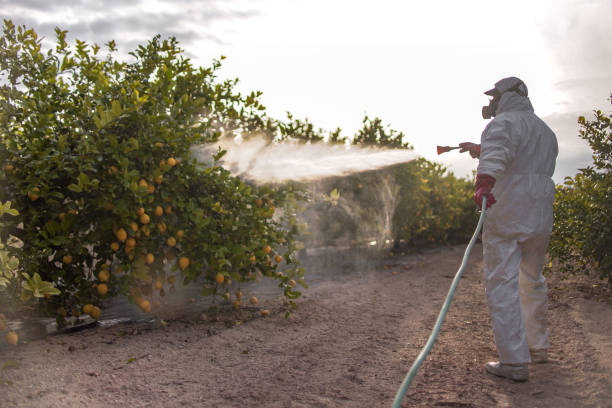 Best Commercial Pest Control Services  in Milton, FL