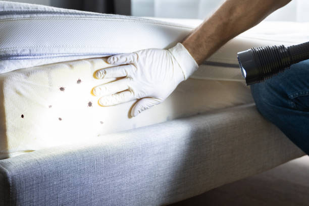 Best Commercial Pest Control Services  in Milton, FL