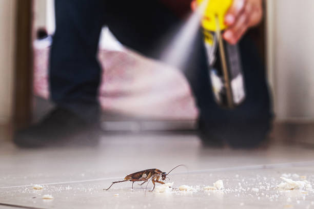 Best Wildlife Control Services  in Milton, FL