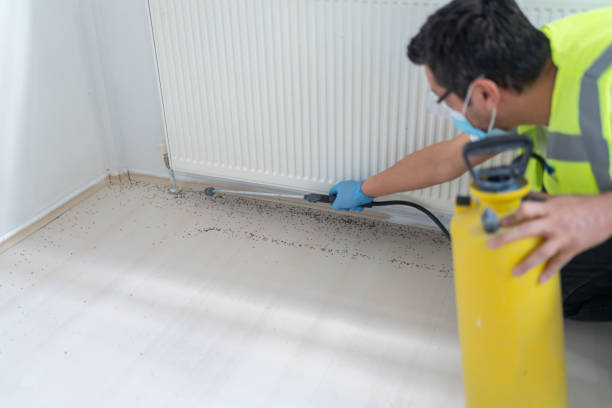 Flea Control Services in Milton, FL
