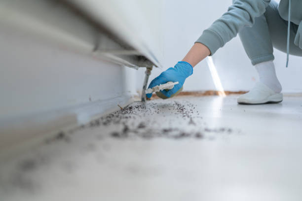 Trusted Milton, FL Pest Control Experts