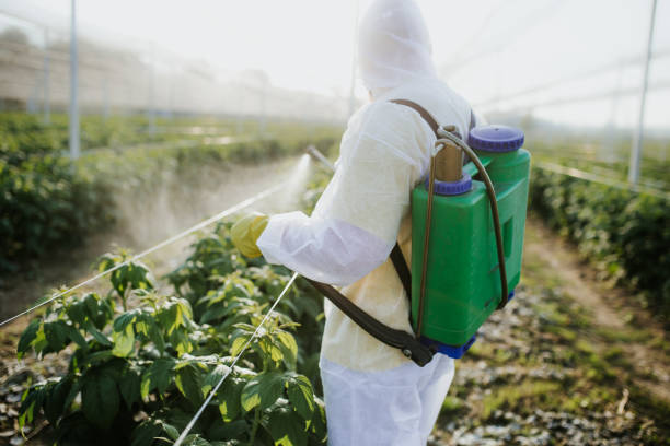 Best Bed Bug Extermination  in Milton, FL